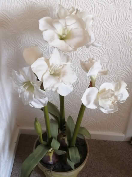 Photo of free Silk flowers in pot (Killamarsh S21) #1