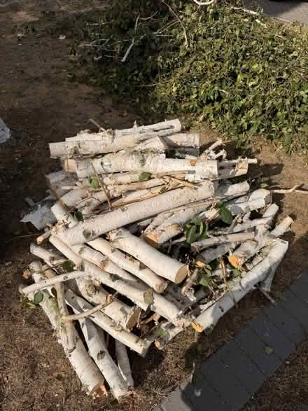 Photo of free Logs for burning (Laindon) #1