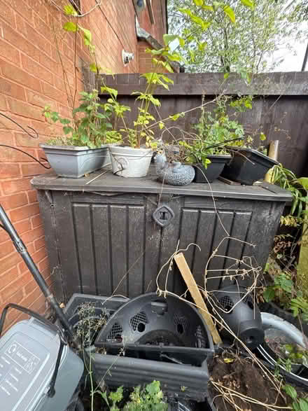 Photo of free plant pots and soil (Adelphi PR1) #2