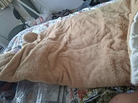 Photo of free Bunny snuggle sleeping bag (indoors) (Streatham SW16) #2