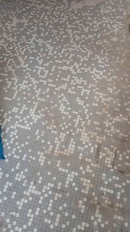 Photo of free Mosaic tiles (Chell ST6) #2