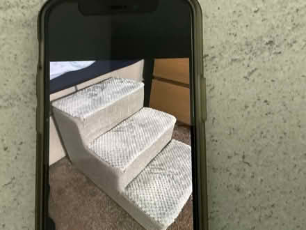 Photo of free Dog steps (Chesterfield S40) #3