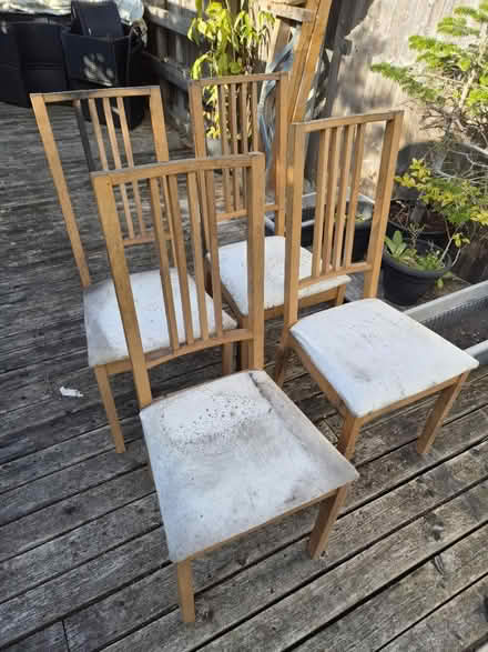 Photo of free Dining chairs (Audley ST7) #1