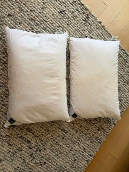 Photo of free 2x pairs of feather & down pillows (Near Berrylands Station KT5) #1