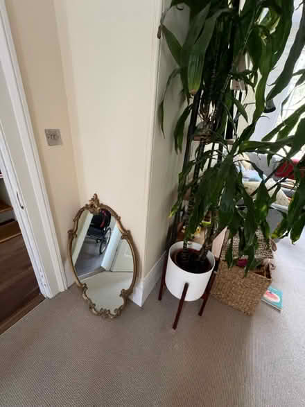 Photo of free Antique mirror (Milner Place N1) #1