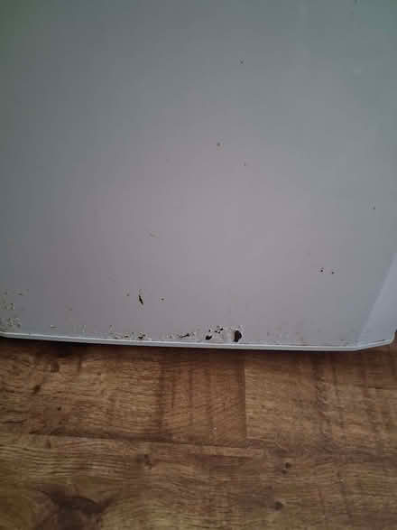 Photo of free Upright freezer (Glenburn PA2) #4