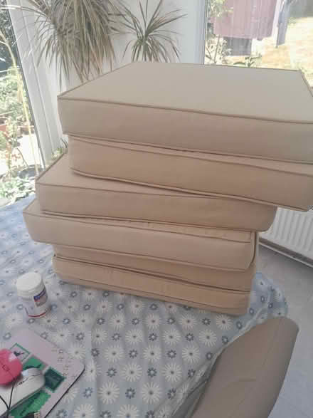 Photo of free 6 maybe 10 seat beige cushions (Hockley Heath B94) #1