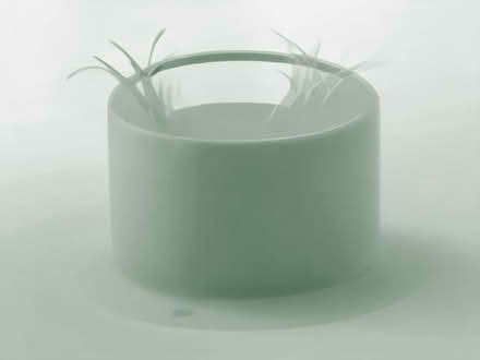 Photo of free Ornamental grass (Lofthouse Gate WF3) #1