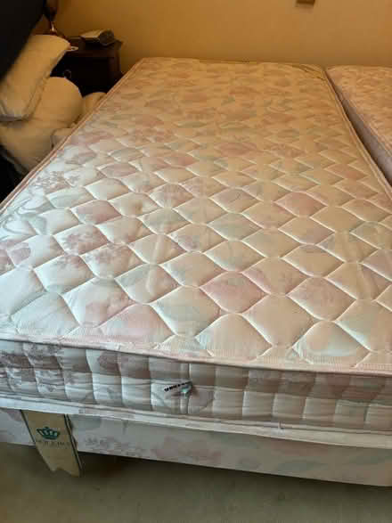 Photo of free 2 Single Beds (Kemptown BN2) #4