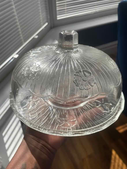 Photo of free Glass cheese dome (Gorse Hill M32) #1