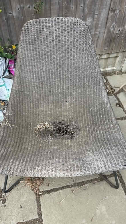 Photo of free Chair (Chelmsford CM2) #1