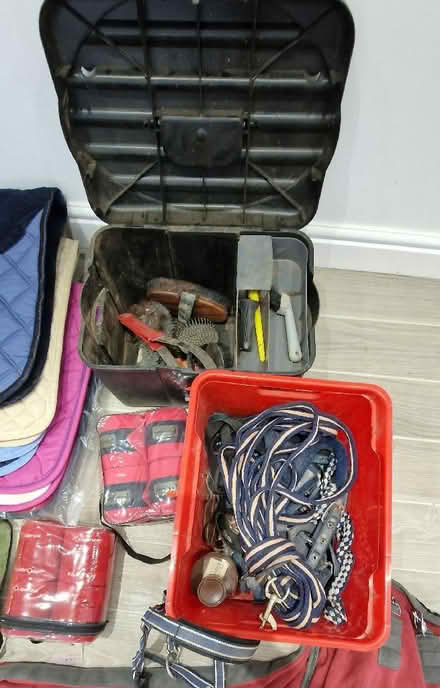 Photo of free collection. Horse riding Supplies (Moulsoe MK16) #2