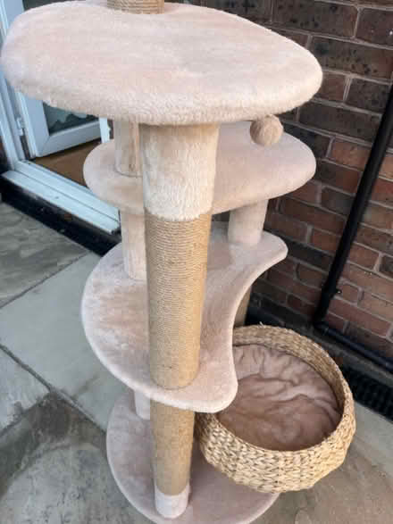Photo of free Cat tree 165cm tall (Sw11) #4