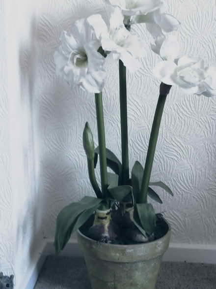 Photo of free Silk flowers in pot (Killamarsh S21) #2