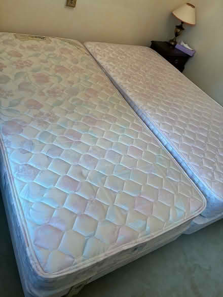 Photo of free 2 Single Beds (Kemptown BN2) #1
