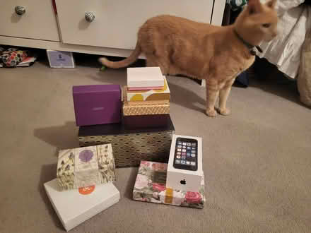 Photo of free Collection of small boxes (Fordwich SG14) #1