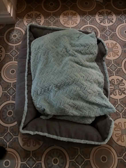 Photo of free Small Dog Bed (Bamber Bridge PR5) #1