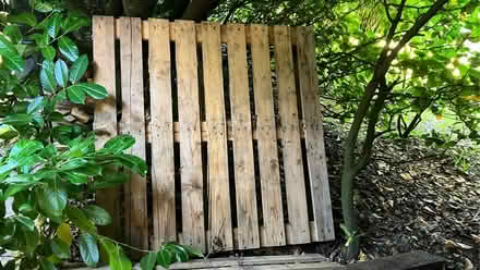 Photo of free Two wooden pallets (Dunfermline KY12) #2