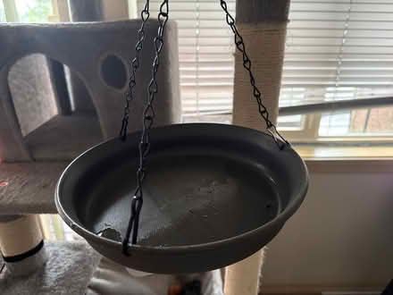 Photo of free Bird bath (Eastlake) #1