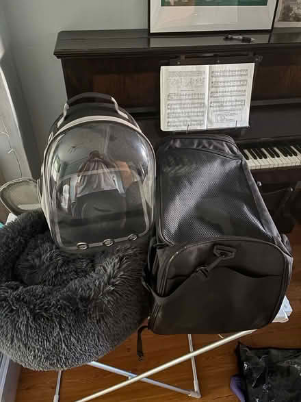 Photo of free Pet bundle (Merton SW19) #1