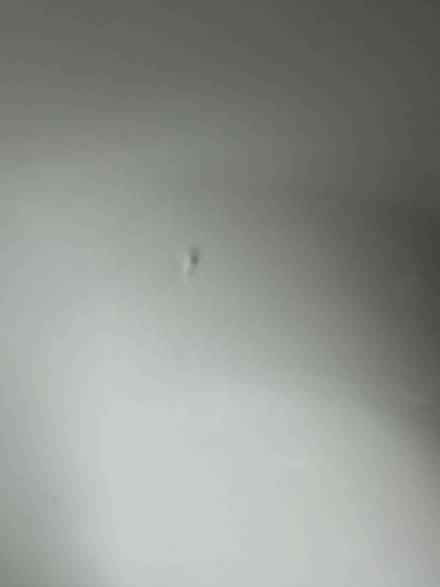 Photo of free White bowl (Burlington) #3