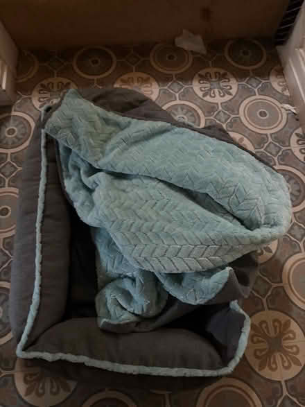 Photo of free Small Dog Bed (Bamber Bridge PR5) #2
