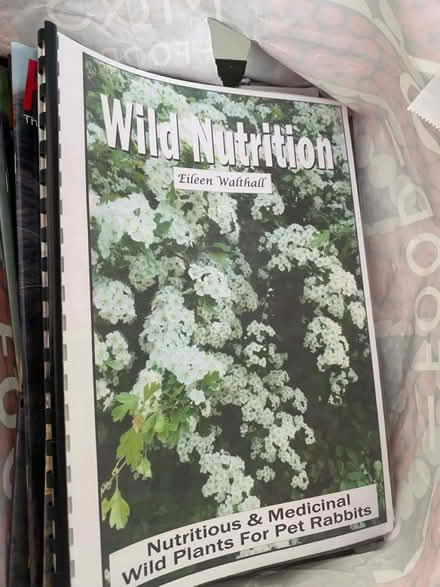 Photo of free Large bundle of Rabbit Magazines (BS165) #2
