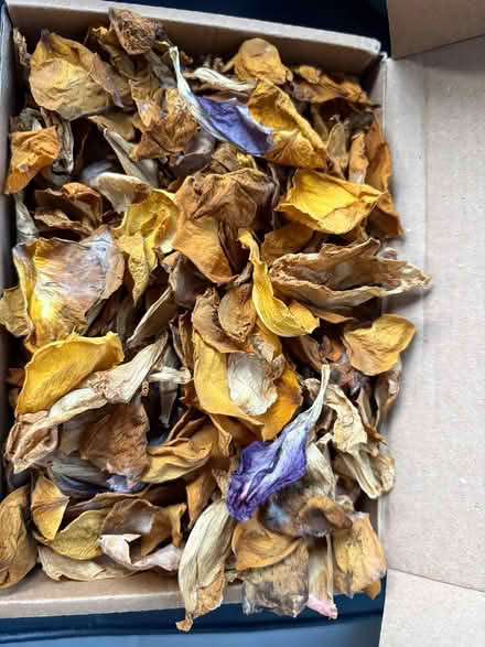 Photo of free Dried Rose Petals, Pink and Yellow (Union Street, Borough SE1) #2