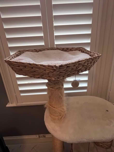 Photo of free Cream, tall cat tree (London Rd Station area BN1) #1