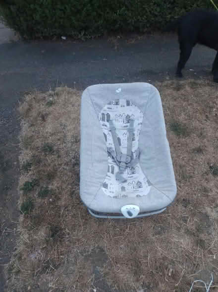 Photo of free Motorised baby bouncer (LU1) #1