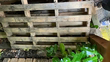 Photo of free Two wooden pallets (Dunfermline KY12) #1