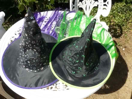Photo of free 2 x halloween witches hats with purple & green acrylic hair (Kempsey WR5) #1
