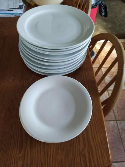 Photo of free Dinner plates (Hedge End SO30) #1