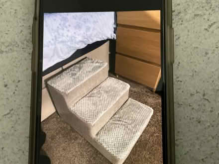 Photo of free Dog steps (Chesterfield S40) #2