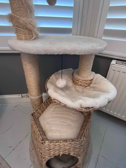 Photo of free Cream, tall cat tree (London Rd Station area BN1) #2
