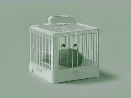 Photo of Rat cage or similar (Shilton OX18) #1