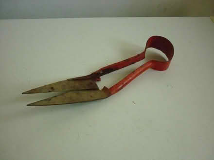 Photo of free Shearing scissors (Blagdon BS40) #1