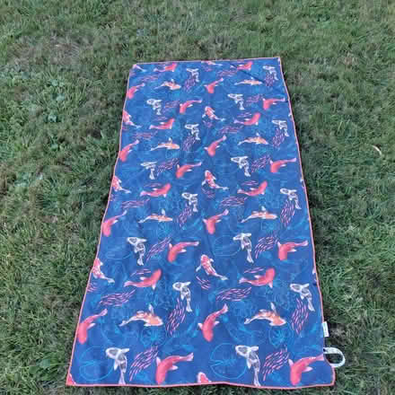 Photo of free Beach/picnic mat (Union City) #1