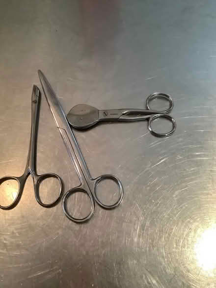 Photo of free I think they’re midwifery scissors (Thornton heath CR7) #1
