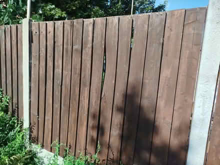 Photo of Feather edge fencing 5ft x 6ft. (Great Wakering SS3) #2