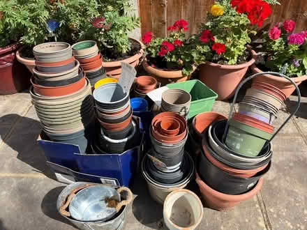 Photo of free Plant pots (Enfield N9) #1