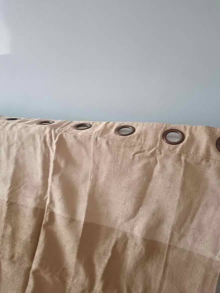 Photo of free Curtains (Toddington LU5) #1