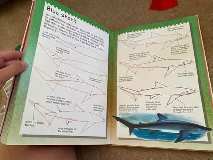 Photo of free Drawing book (Badger Farm) #2