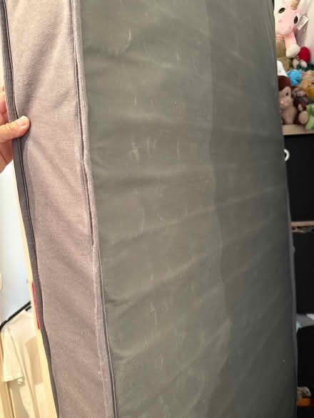 Photo of free Small single mattress (Edenbridge TN8) #2