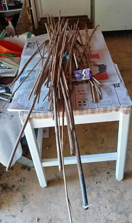 Photo of free Quantity of plant supports (Minster Lovell OX29) #1