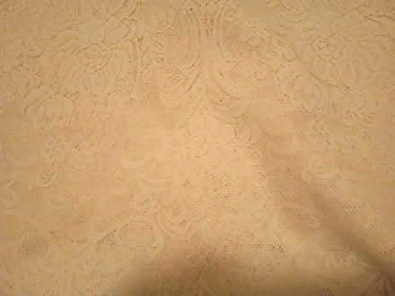 Photo of free Patterned nets 100cm drop (Hammersmith) #1