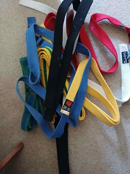 Photo of free Taekwondo belts, shin pads and arm pads (Owlthorpe S20) #1
