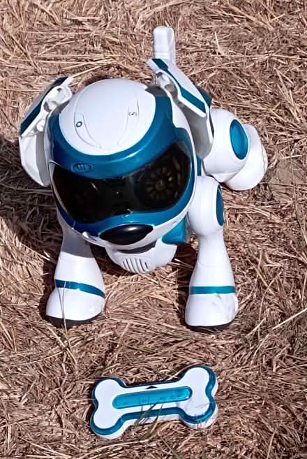 Photo of free Teksta Robotic puppy (Top Amersham HP6) #2