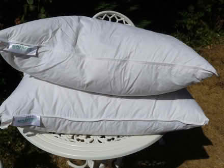 Photo of free 2 x duck feather pillows VGC 48cm x 74cm (Kempsey WR5) #1