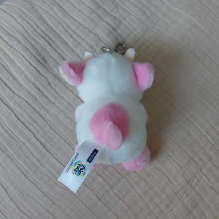 Photo of free Cow keychain (Union City) #2